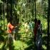 Image Gallery of Adventure in Agumbe