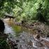 Image Gallery of Adventure in Agumbe