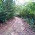 Image Gallery of Belachikatte Homestay