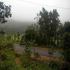Image Gallery of Belachikatte Homestay