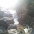 Image Gallery of Belachikatte Homestay