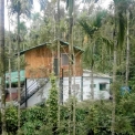 Image Gallery of Nature Nestate Homestay