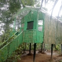 Image Gallery of Nature Nestate Homestay