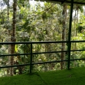 Image Gallery of Nature Nestate Homestay