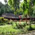 Image Gallery of Kudajadri Drizzle Homestay