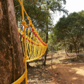Image Gallery of Coffee Street Homestay