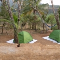 Image Gallery of Coffee Street Homestay