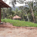 Image Gallery of Coffee Street Homestay