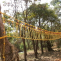 Image Gallery of Coffee Street Homestay