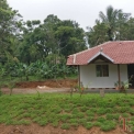 Image Gallery of Coffee Street Homestay