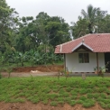 Image Gallery of Coffee Street Homestay