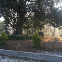 Image Gallery of Vruksha Homestay