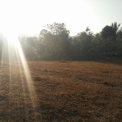 Image Gallery of Vruksha Homestay