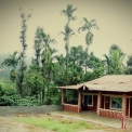 Image Gallery of Misty Hut Homestay