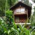 Image Gallery of Forest Flower Homestay