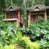 Image Gallery of Forest Flower Homestay