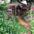 Image Gallery of Mountain Valley Homestay