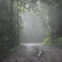 Image Gallery of Brindavan Homestay