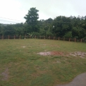 Image Gallery of Brindavan Homestay
