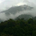 Image Gallery of Brindavan Homestay