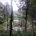 Image Gallery of Canopy Green Estate Homestay