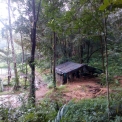 Image Gallery of Canopy Green Estate Homestay