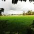 Image Gallery of Malnad Homestays Packages