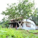 Image Gallery of Jenkal Homestay