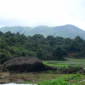 Image Gallery of Ayesiri Homestay