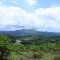 Image Gallery of Ayesiri Homestay