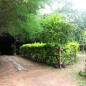 Image Gallery of Jungle Inn Resort