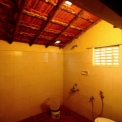 Image Gallery of Jungle Inn Resort