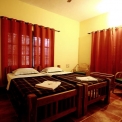 Image Gallery of Jungle Inn Resort