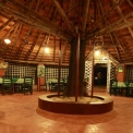 Image Gallery of Jungle Inn Resort
