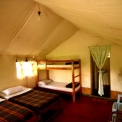Image Gallery of Jungle Inn Resort