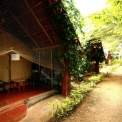 Image Gallery of Jungle Inn Resort