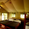 Image Gallery of Jungle Inn Resort
