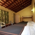 Image Gallery of Jungle Inn Resort