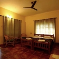 Image Gallery of Jungle Inn Resort