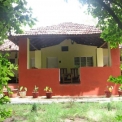 Image Gallery of Jungle Inn Resort