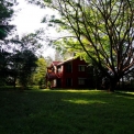 Image Gallery of Jungle Inn Resort