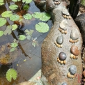 Image Gallery of Muudana Mane Homestay