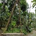 Image Gallery of Muudana Mane Homestay