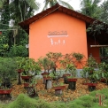Image Gallery of Muudana Mane Homestay