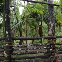 Image Gallery of Muudana Mane Homestay