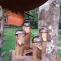 Image Gallery of Muudana Mane Homestay