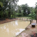 Image Gallery of Muudana Mane Homestay