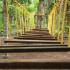 Image Gallery of Muudana Mane Homestay