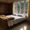 Image Gallery of Green Inn Homestay