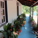 Image Gallery of Green Inn Homestay